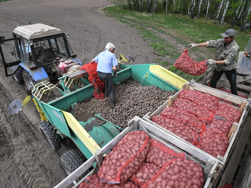 Productos Agroindustriales en Cusco