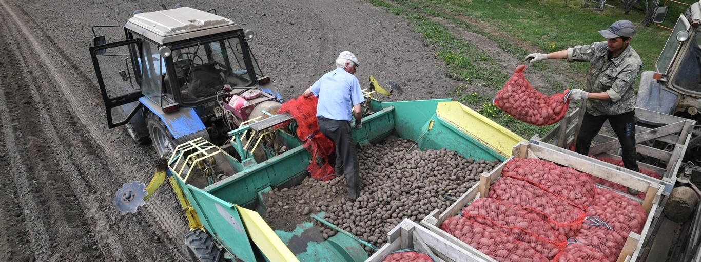 Productos Agroindustriales en Cusco